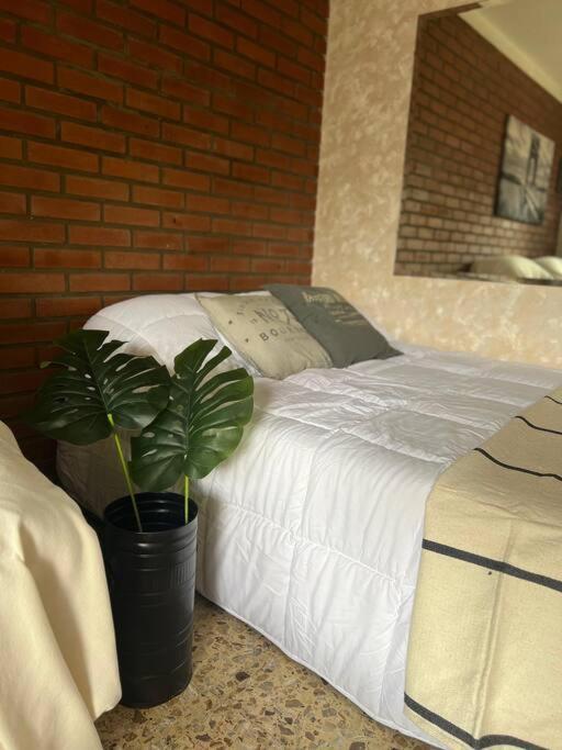 Apartment Casa Orejas - Departamentos En Centro Tigre